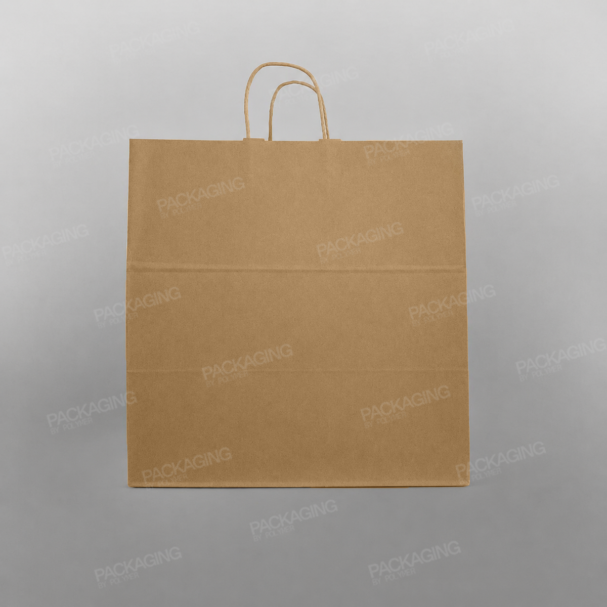 Premium Kraft Paper Bag Twisted Handle