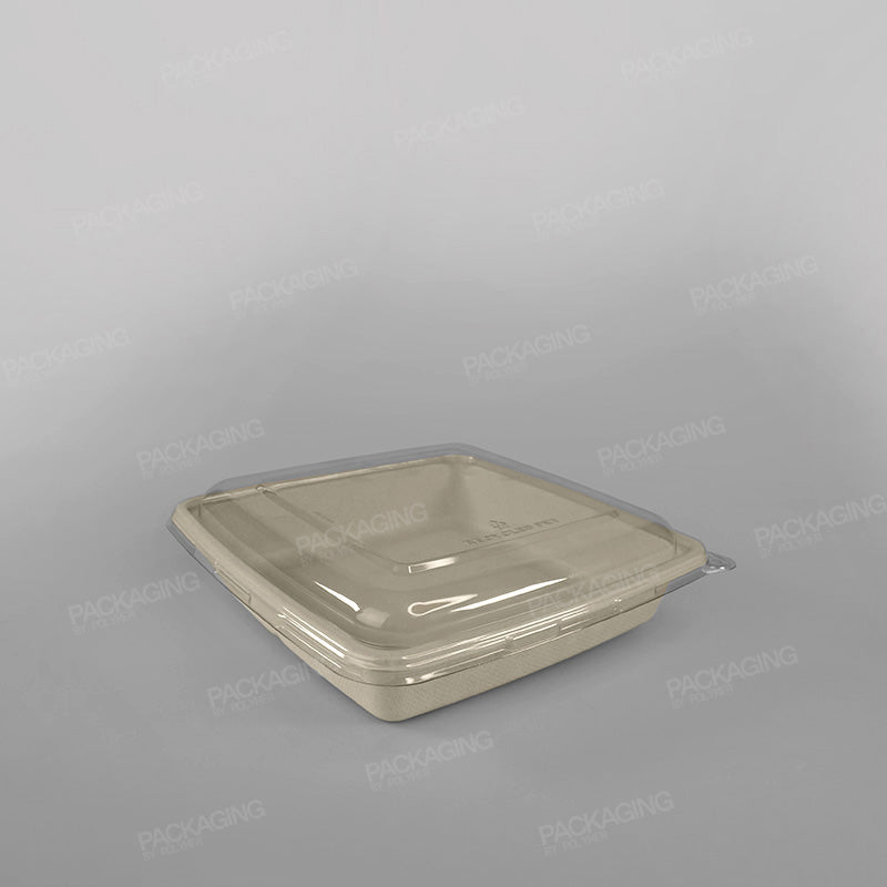 Sabert 1 Compartment Square Pulp Container - 1400ml