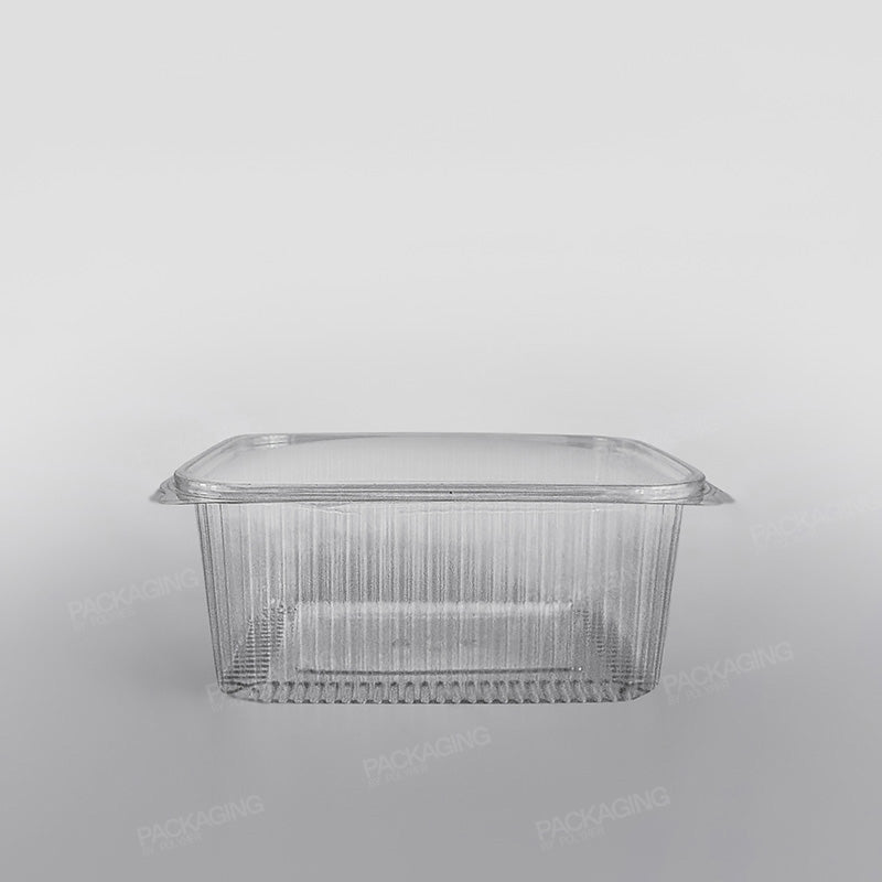 Somoplast Clear Hinged Rectangular Plastic Container