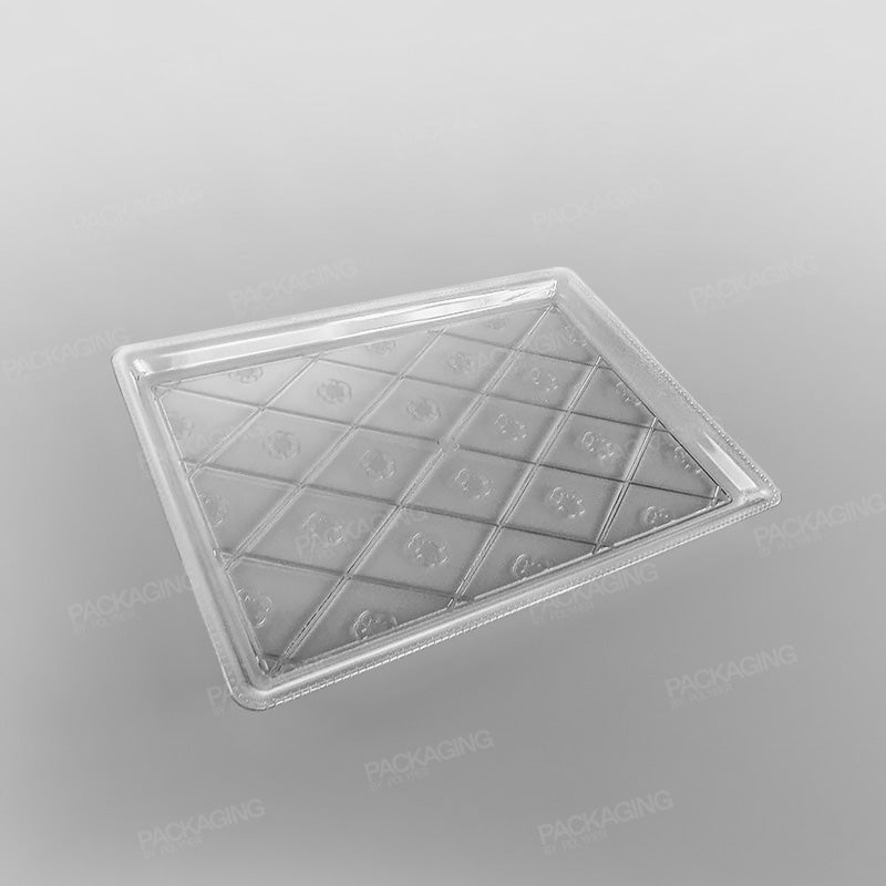 Plastic Rectangular Tray Clear
