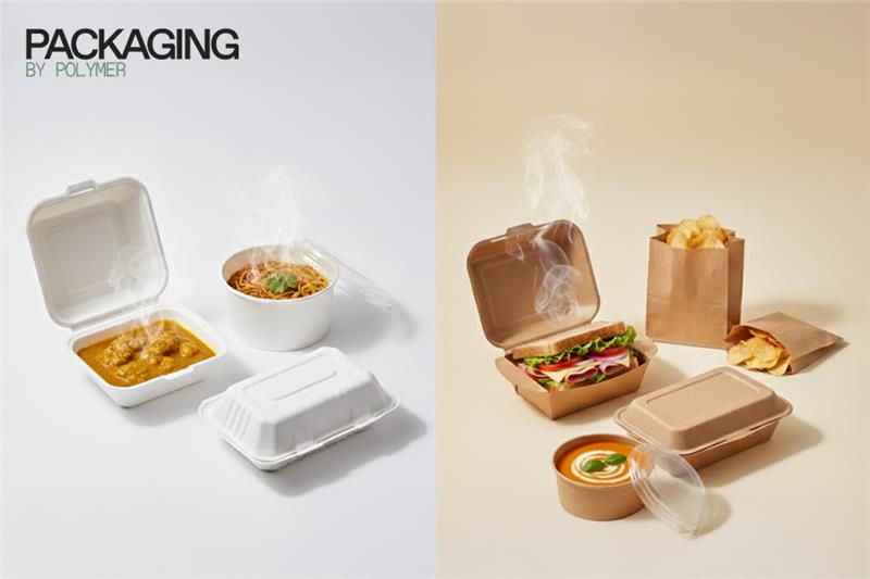 Bagasse vs Kraft: Which Sustainable Packaging Should You Choose?