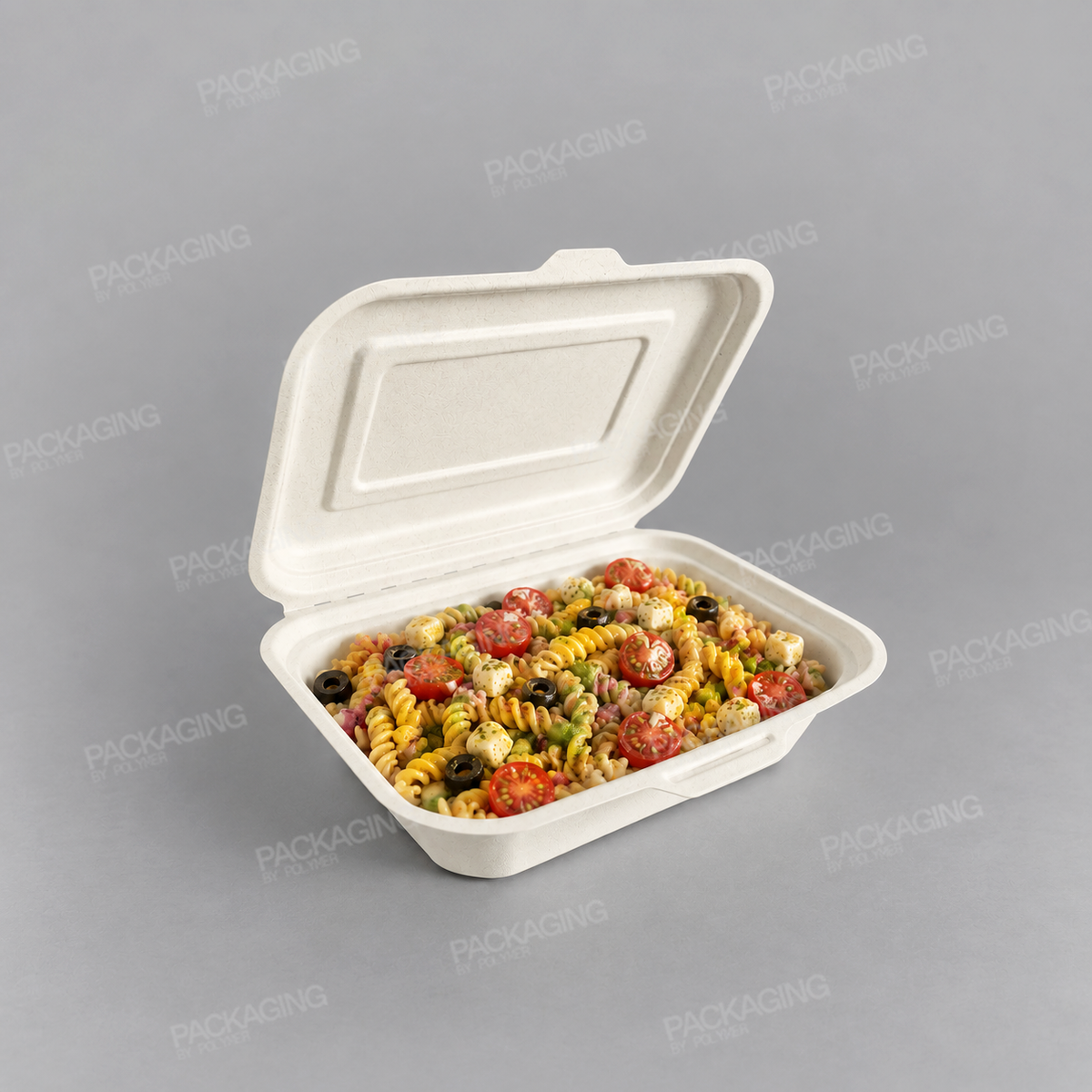 Bagasse Compostable Regular Clamshell Meal Box - 7 x 5 x 2.5 inch