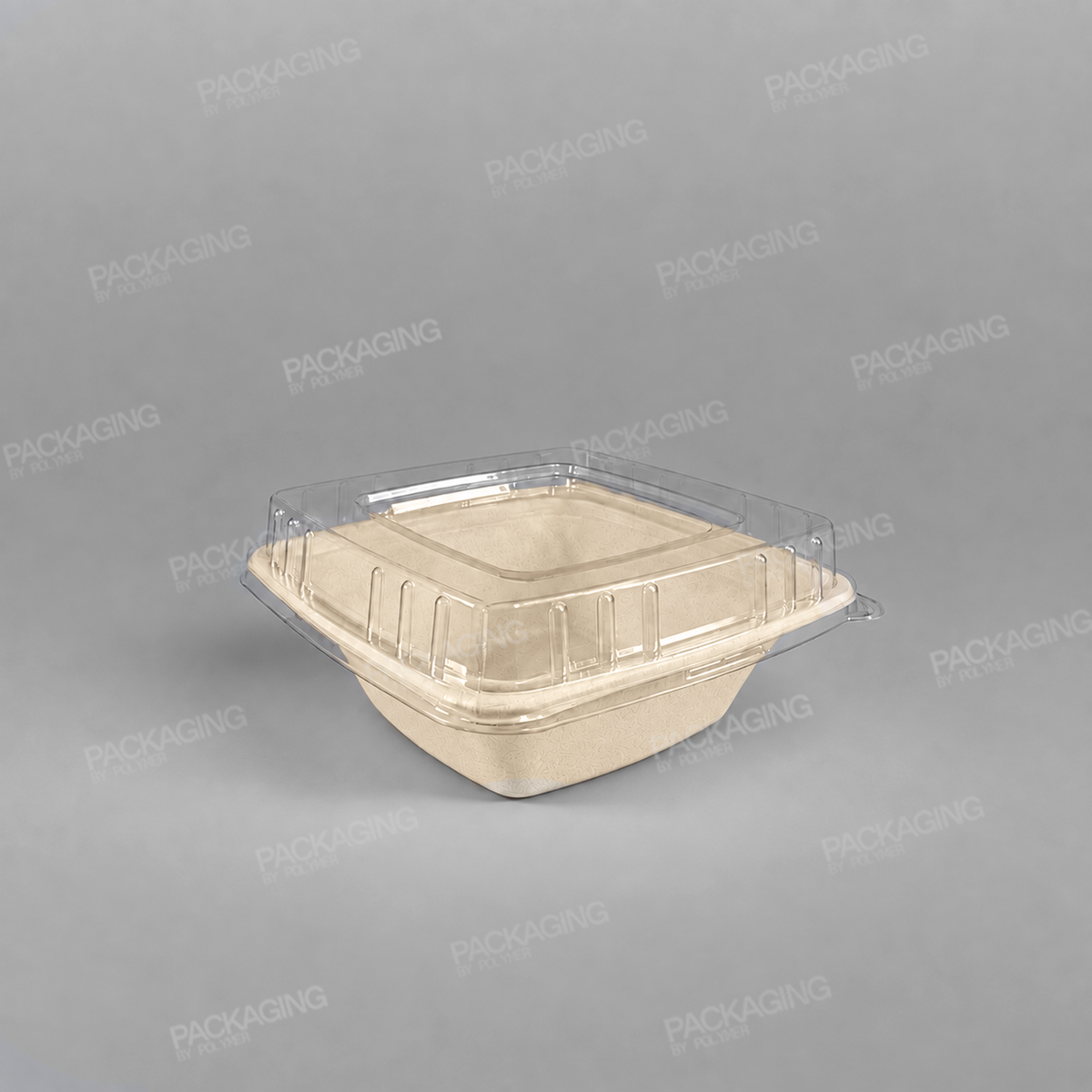 Compostable Sugarcane Pulp Square Bowls