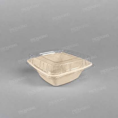 Compostable Sugarcane Pulp Square Bowls