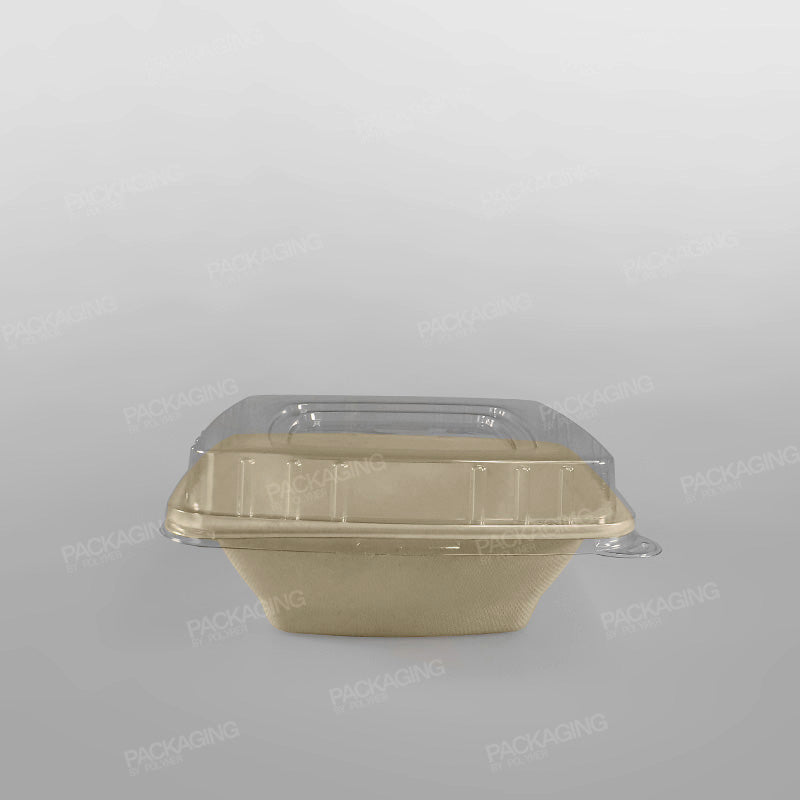 Compostable Sugarcane Pulp Square Bowls