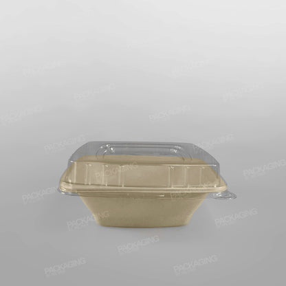 Compostable Sugarcane Pulp Square Bowls