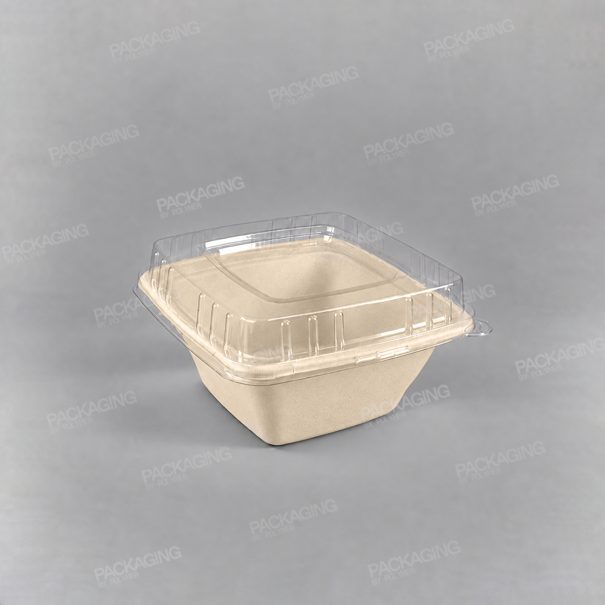 Compostable Sugarcane Pulp Square Bowls
