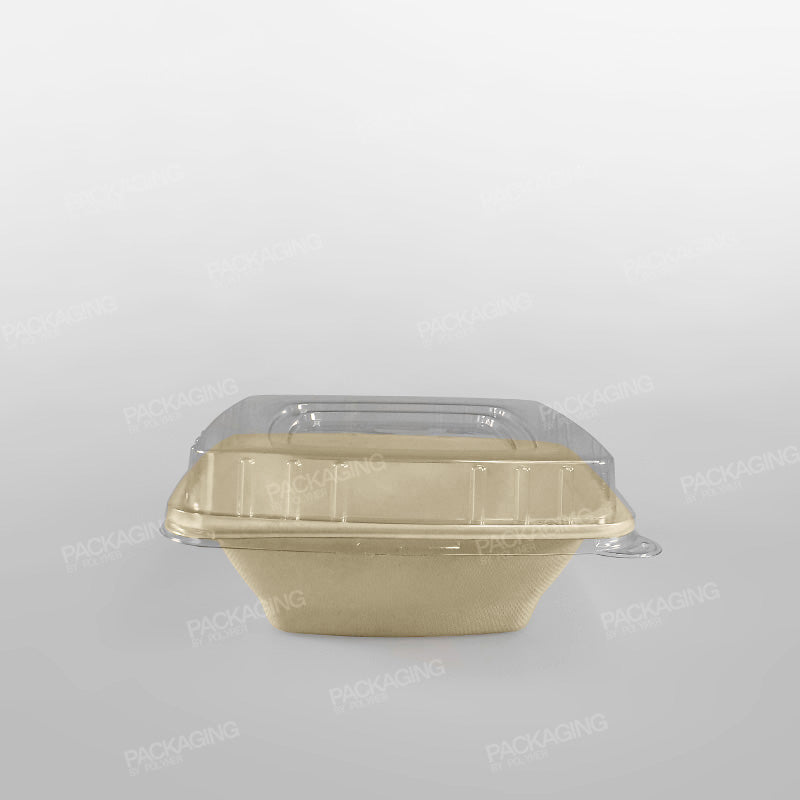 rPET Lid For Compostable Sugarcane Pulp Square Bowls