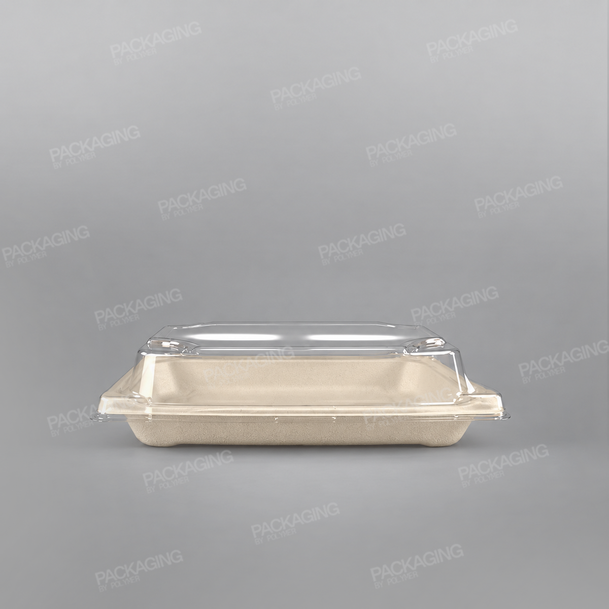 Compostable Bagasse Sushi Tray [Multiple Sizes]