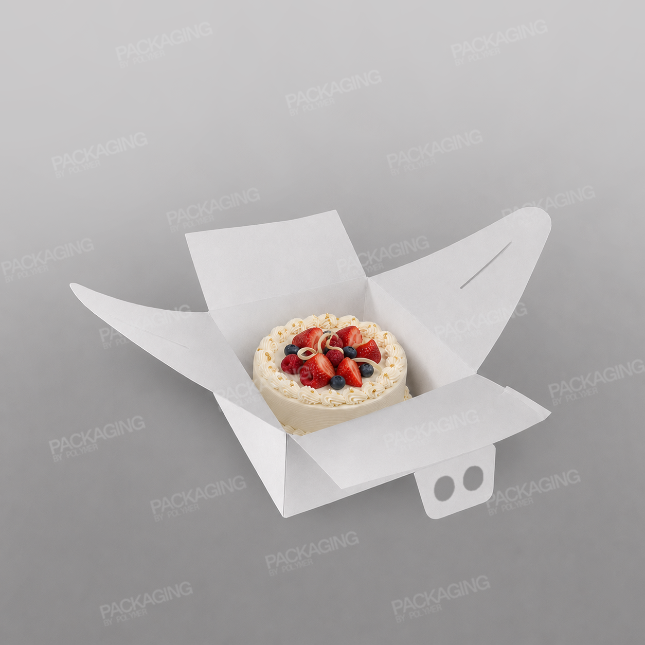 Cake Box With Handle
