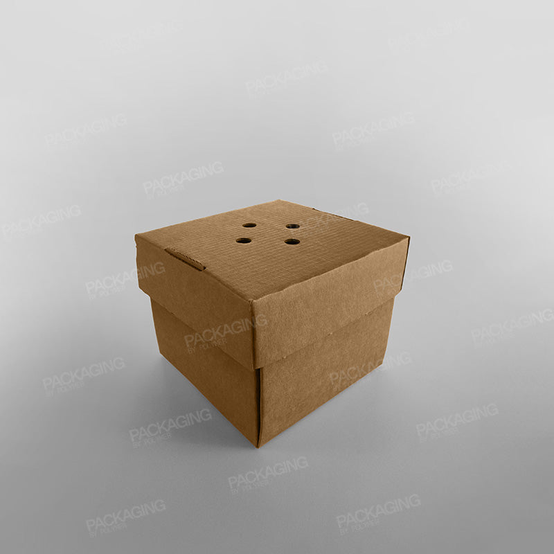 Corrugated Kraft Burger Box