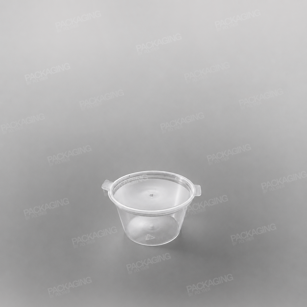 Hinged Plastic Sauce Container Round