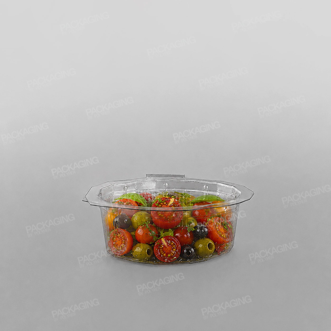 GPI Multipack Clear Hinged Container