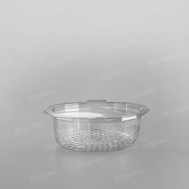 GPI Multipack Clear Hinged Container