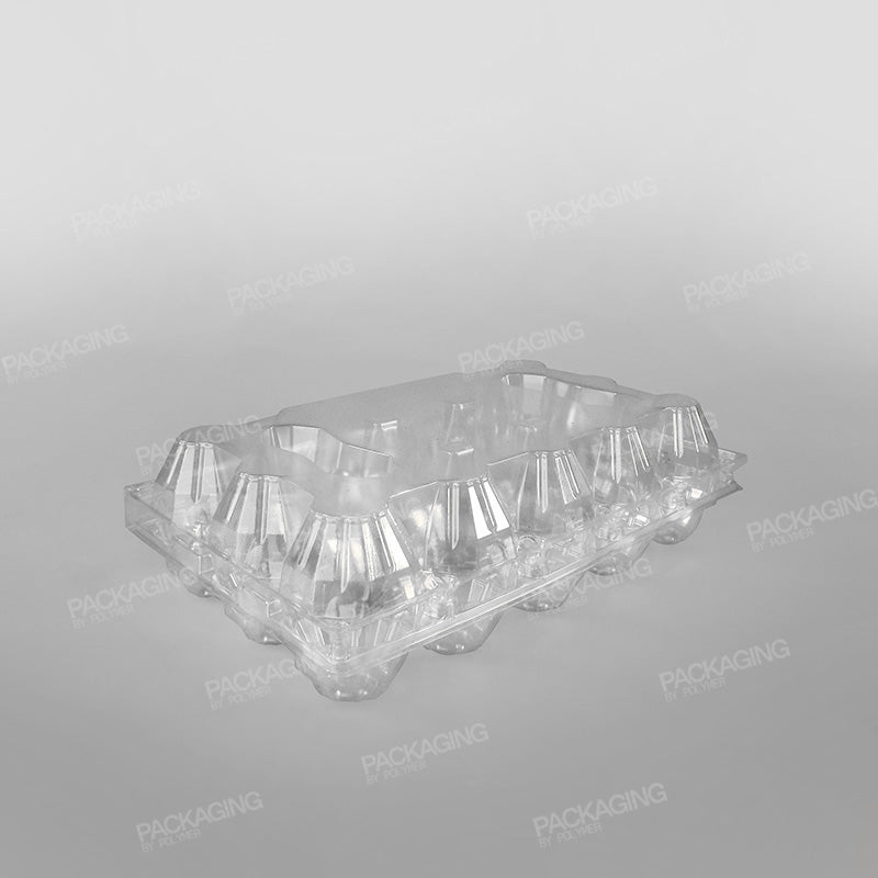 Somoplast Hinged Egg Container - Fit 15 Eggs