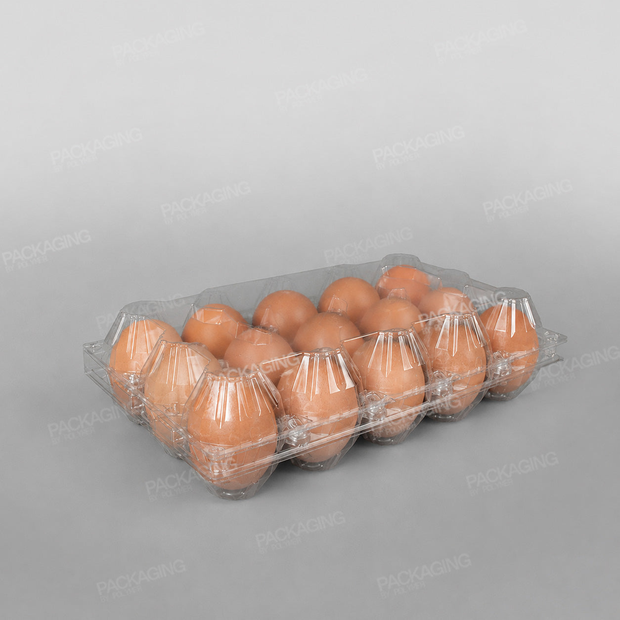 Somoplast Hinged Egg Container - Fit 15 Eggs