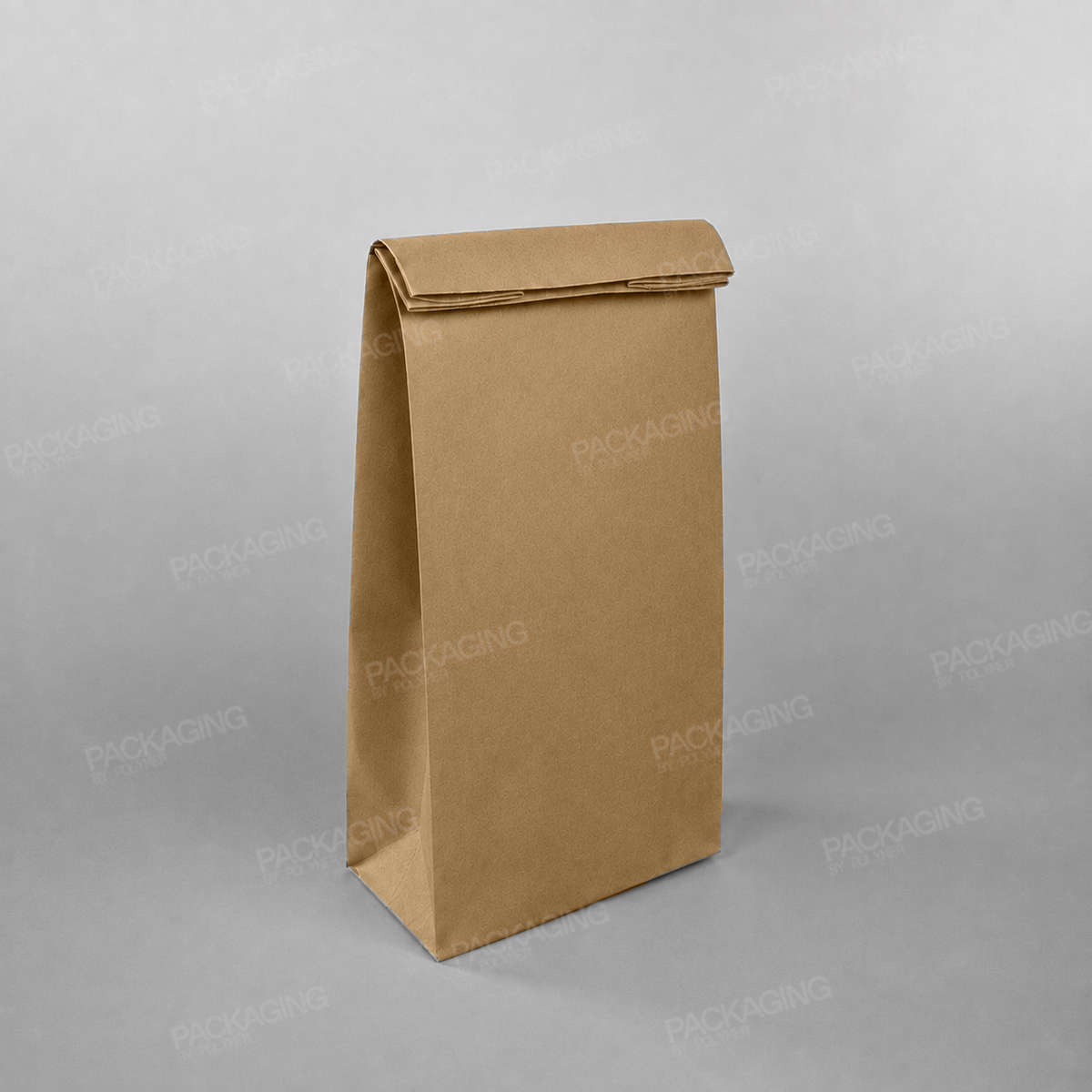 Brown Paper Grab Bag/ Take Away Bag, No Handles