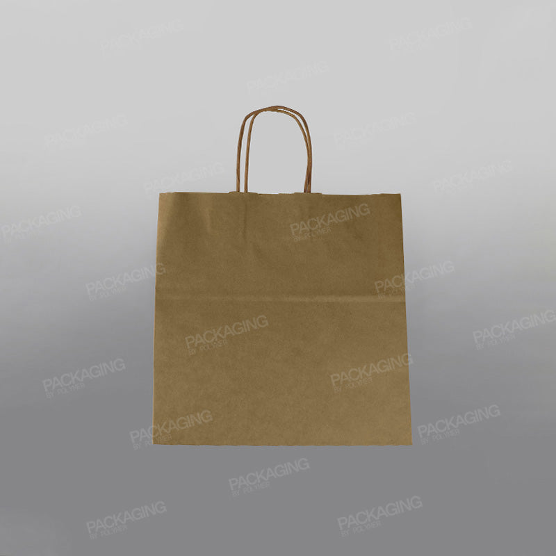 Premium Kraft Twisted Handle Paper Carrier Bag