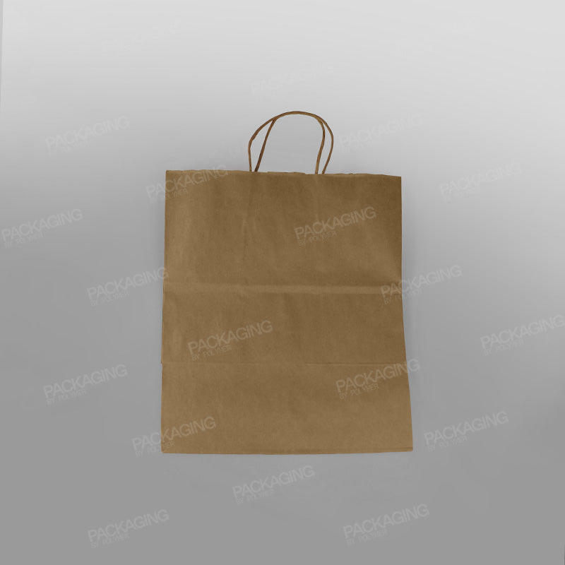 Premium Kraft Twisted Handle Paper Carrier Bag