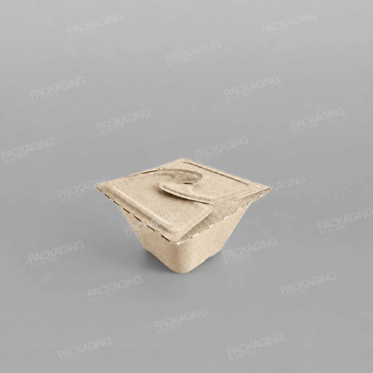 Sabert Rectangular Pulp Meal Box