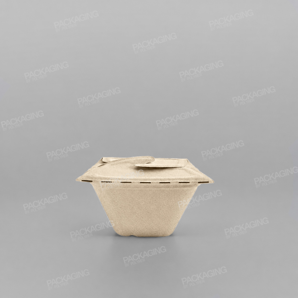 Sabert Rectangular Pulp Meal Box