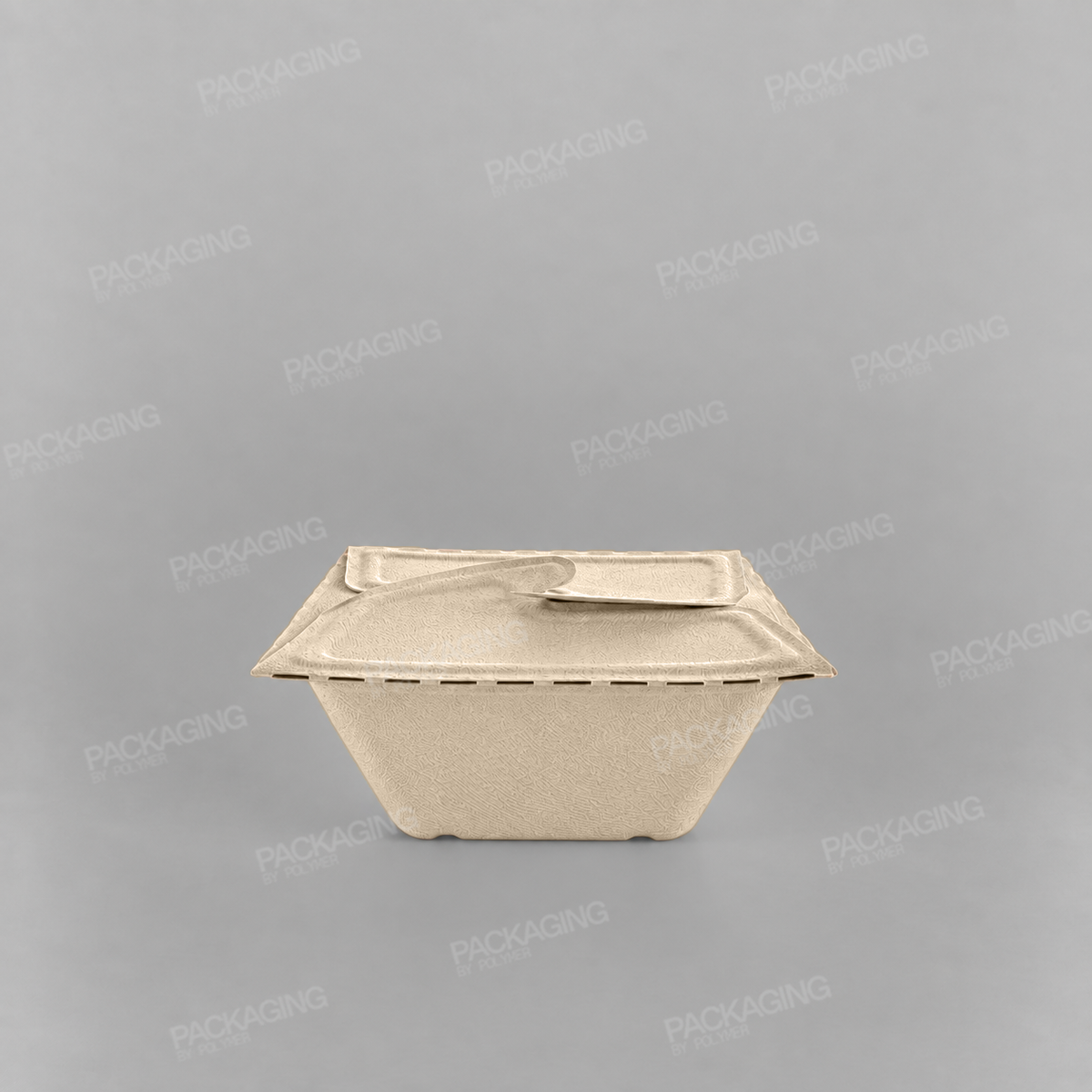 Sabert Rectangular Pulp Meal Box