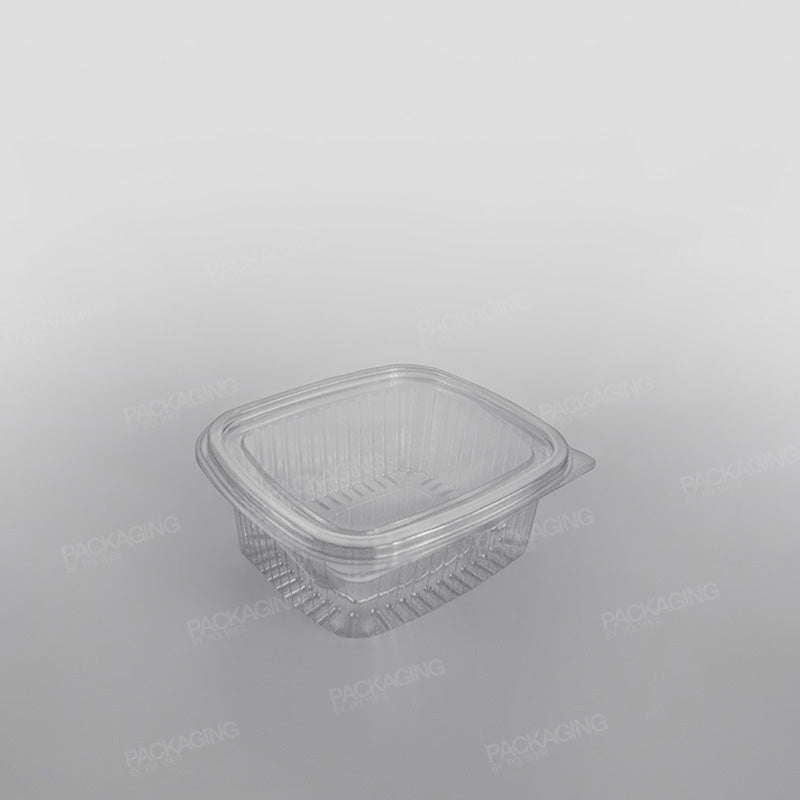 Somoplast Clear Hinged Rectangular Plastic Container