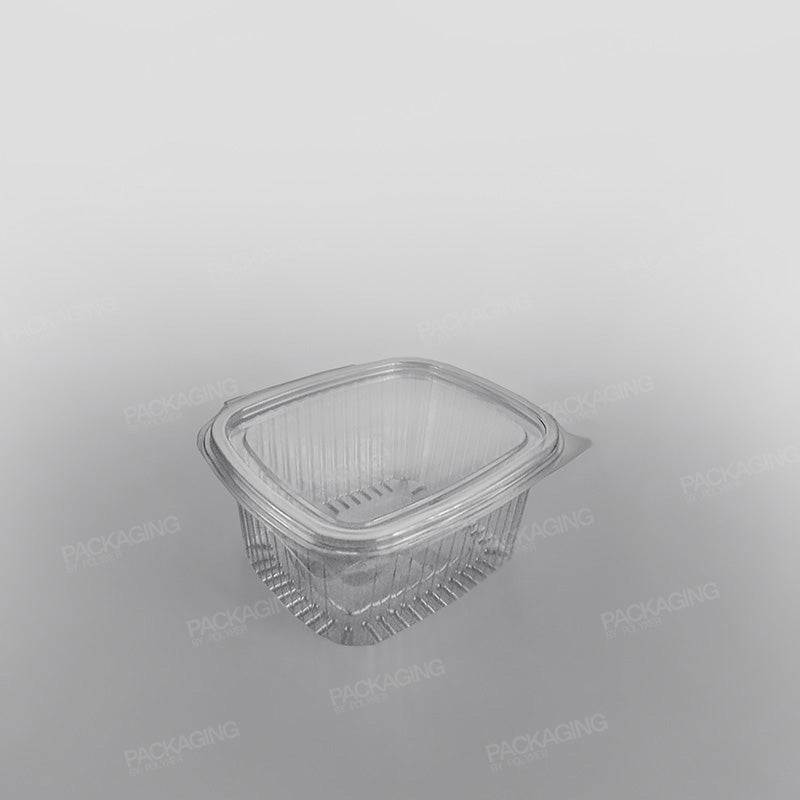 Somoplast Clear Hinged Rectangular Plastic Container