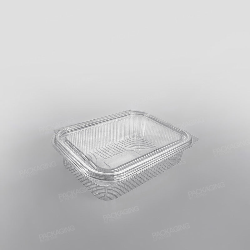 Somoplast Clear Hinged Rectangular Plastic Container