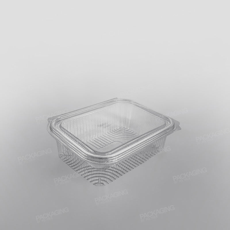 Somoplast Clear Hinged Rectangular Plastic Container