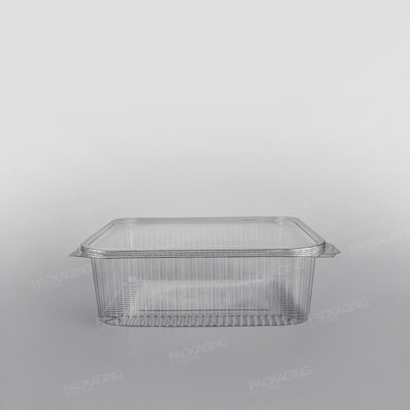 Somoplast Clear Hinged Rectangular Plastic Container