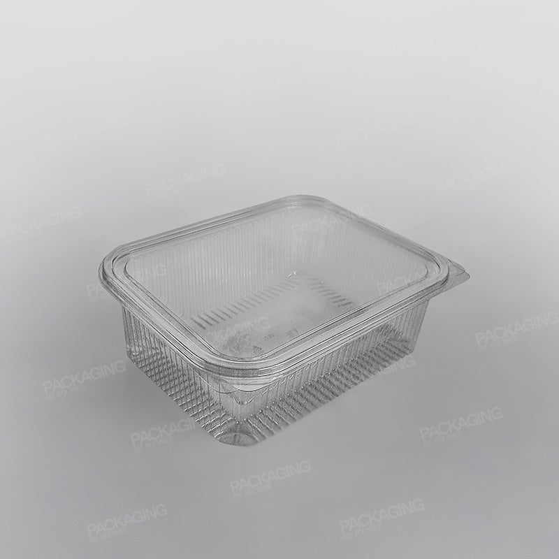 Somoplast Clear Hinged Rectangular Plastic Container