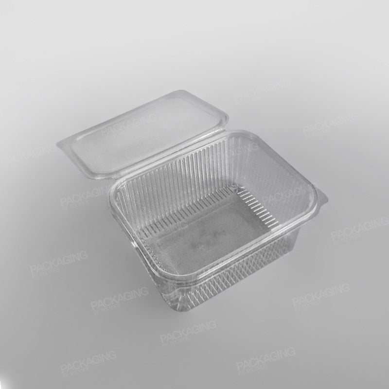 Somoplast Clear Hinged Rectangular Plastic Container