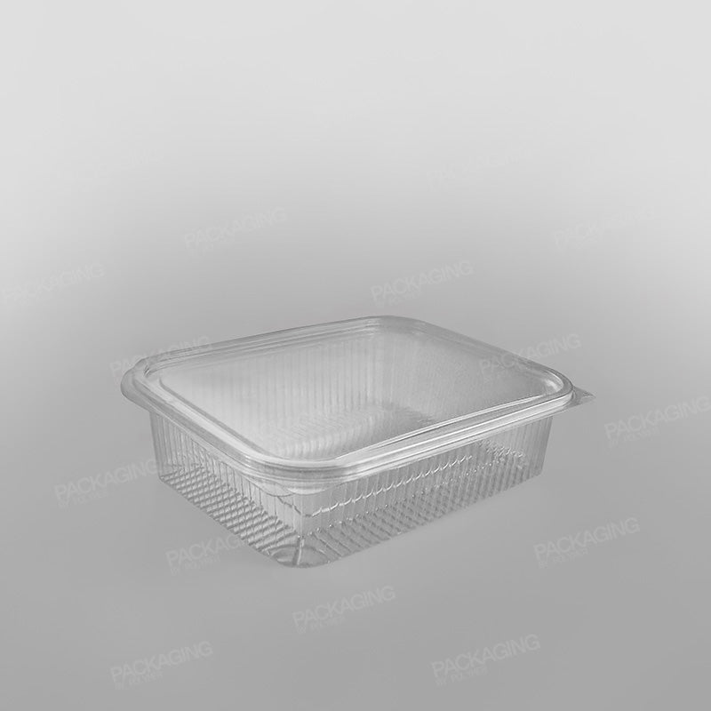 Somoplast Clear Hinged Rectangular Plastic Container