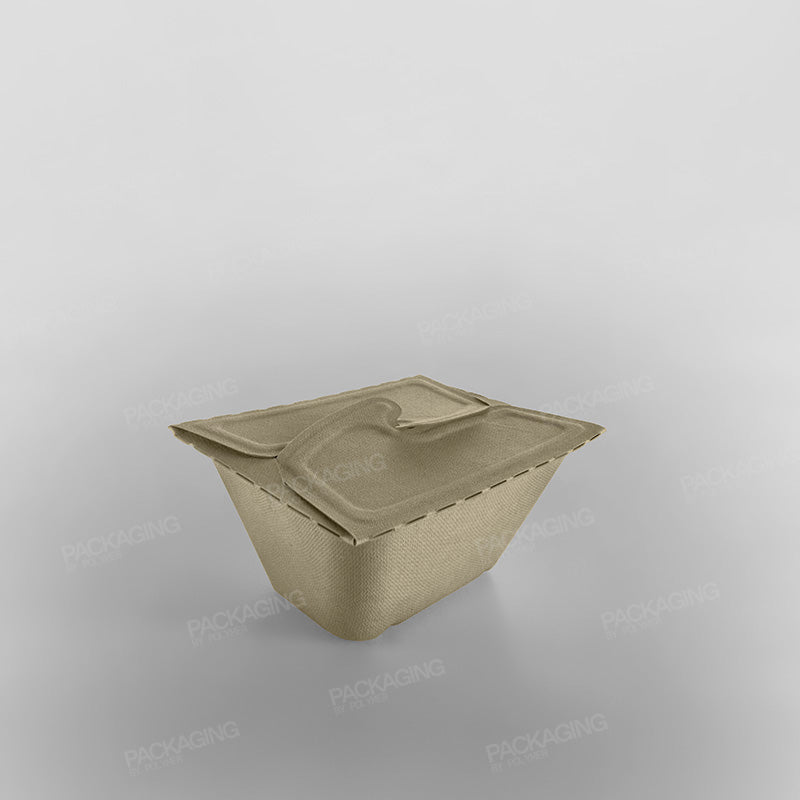 Sabert Rectangular Pulp Meal Box